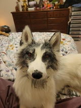 Etsy customer review photo