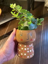 Vicky Hafler review photo