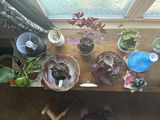 Michelle Long-Sabados review photo