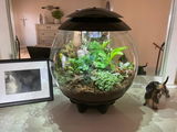 Debra L Harrison review photo