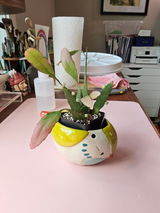 Jan review photo