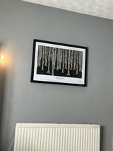 H.P. review photo