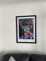 Colleen Heeps review photo