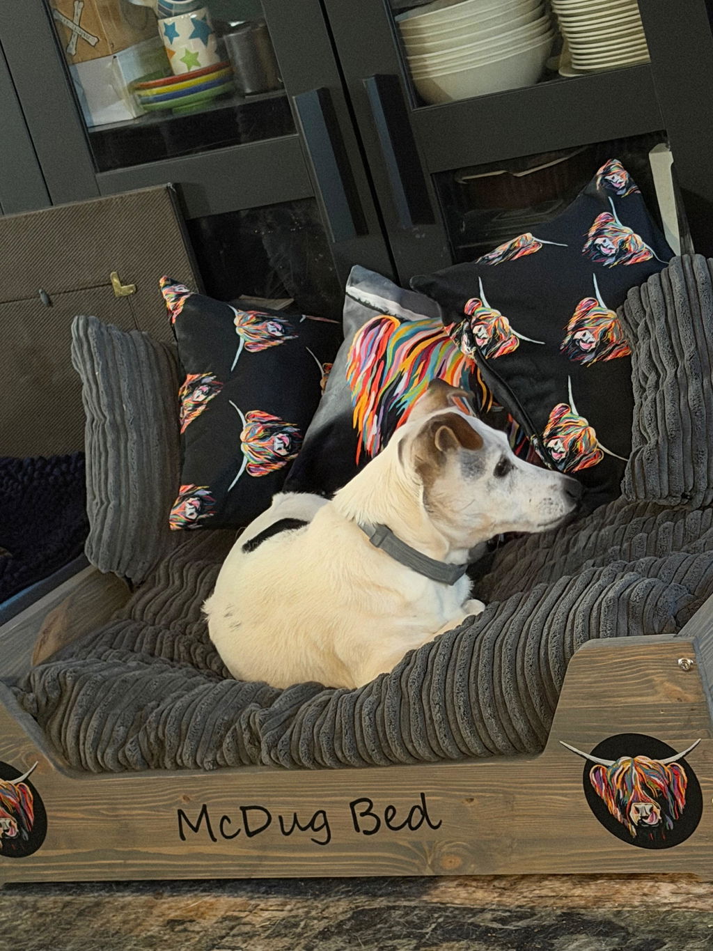 Heather McCoo - Luxury Wooden Dog Bed