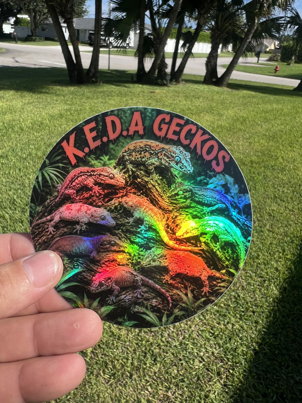 Holographic Stickers