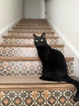Etsy customer review photo