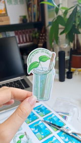 A.N. review photo
