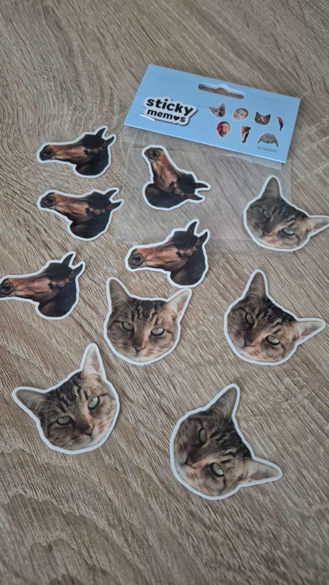Stickers Animaux personnalisés 🐶🐱