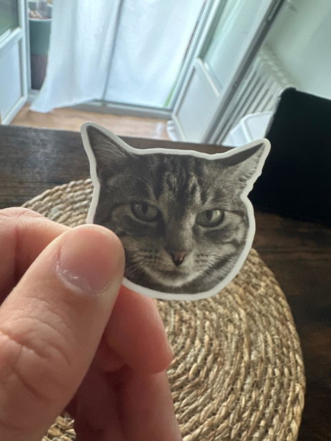 Stickers Animaux personnalisés 🐶🐱