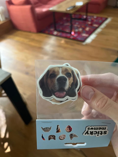 Stickers personnalisés 🐶🐱👶🐢👦