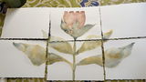 Claire Dudan review photo