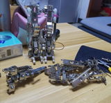 D.W. review photo