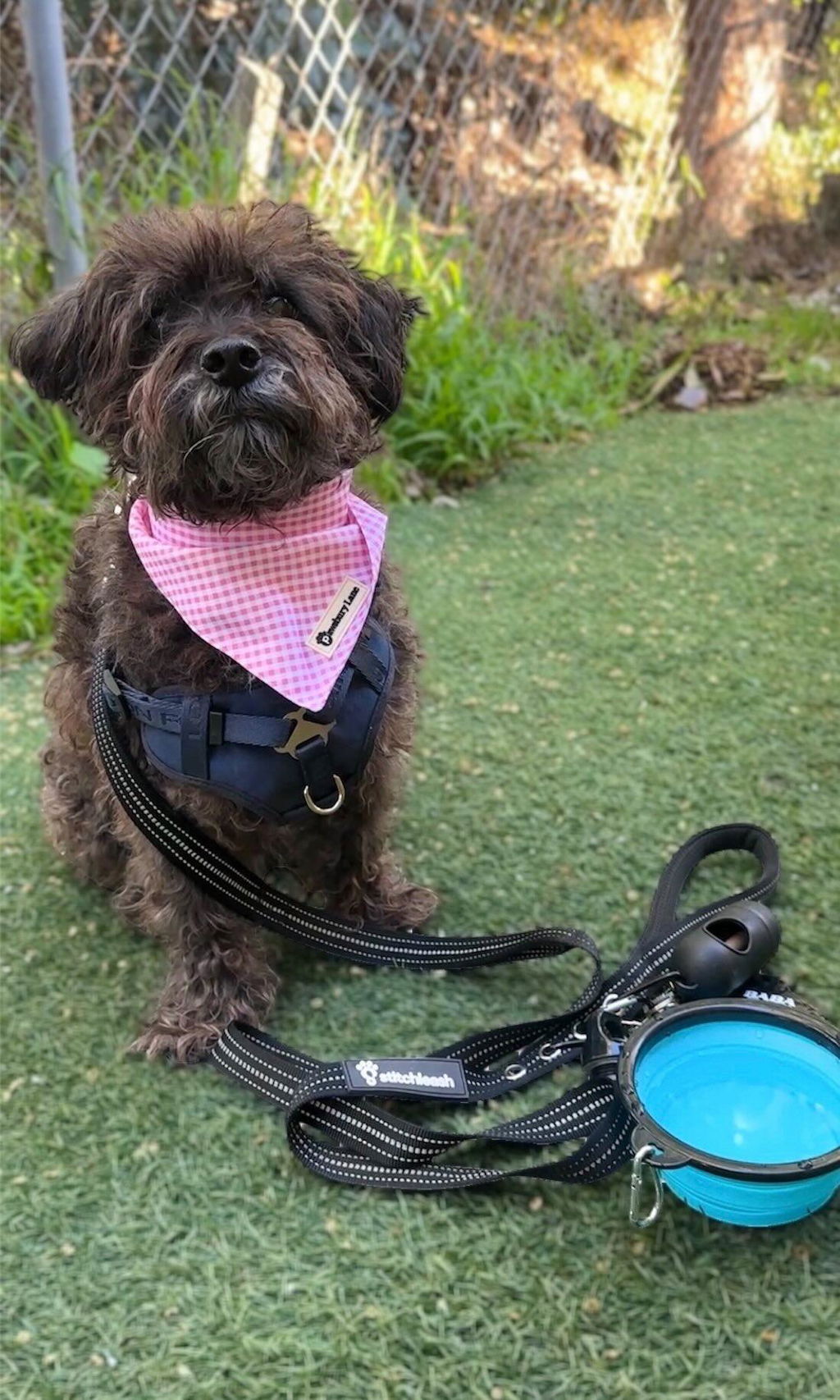 Customer photo of StitchLeash - Flat Nylon Leash