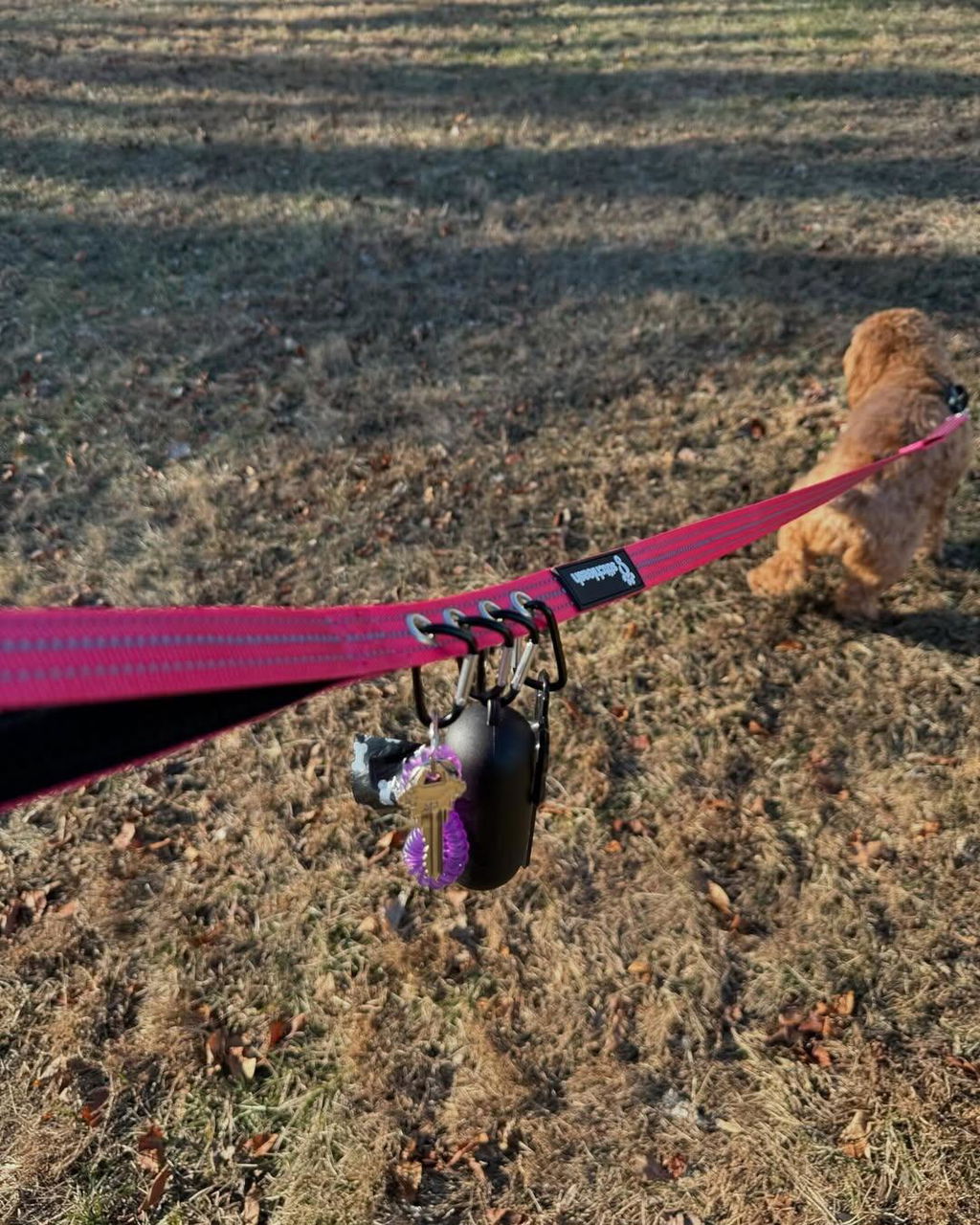 Customer photo of StitchLeash - Flat Nylon Leash