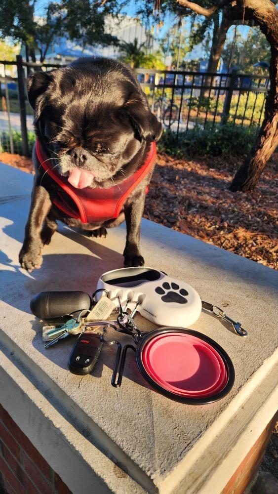 Customer photo of StitchLeash - Retractable Dog Leash