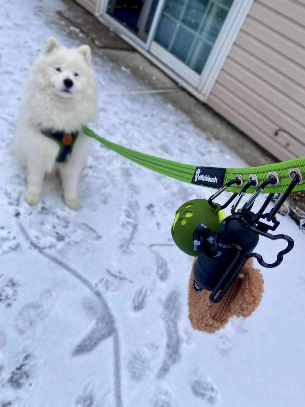 Customer photo of StitchLeash - Flat Nylon Leash