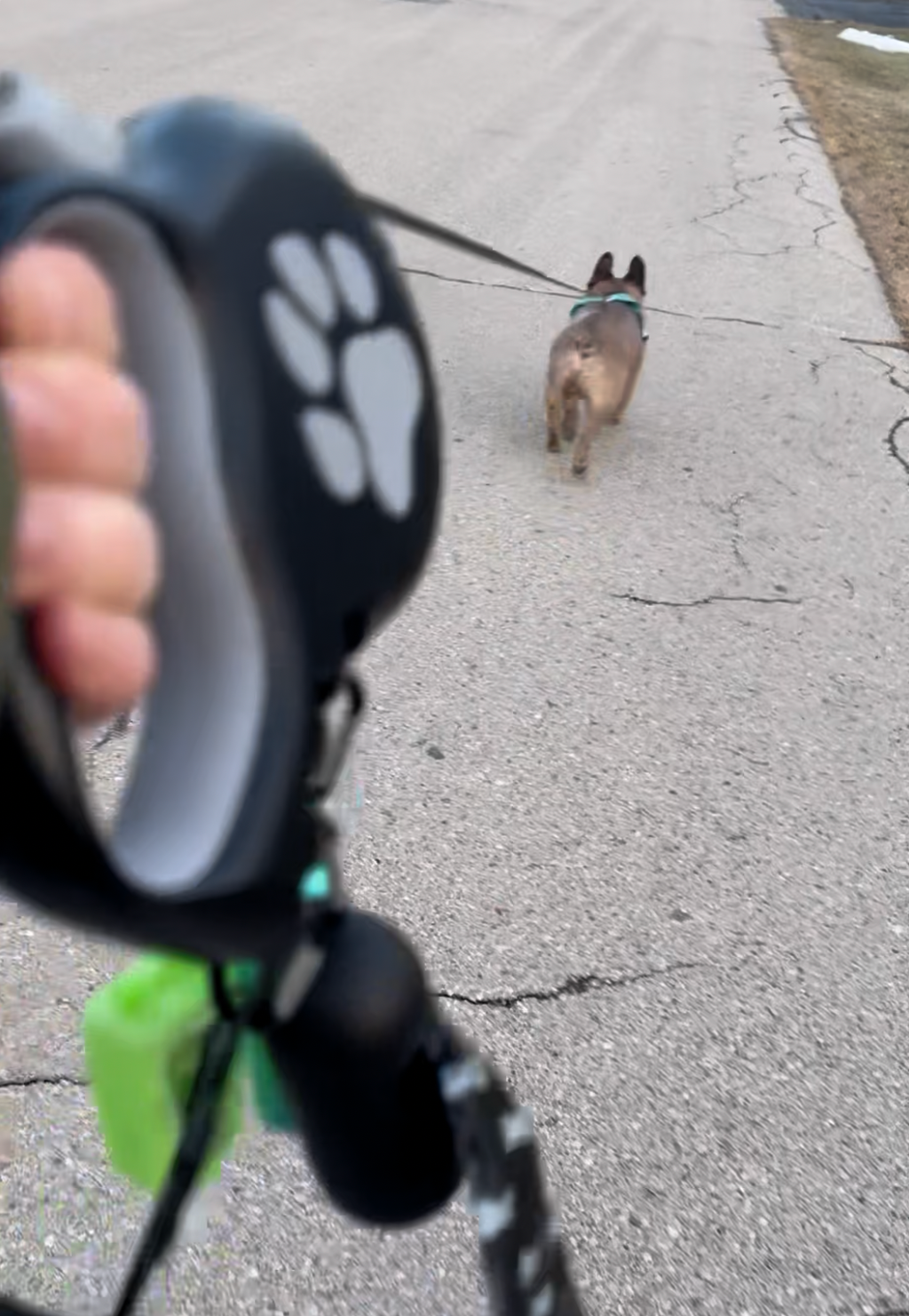 Customer photo of StitchLeash - Retractable Dog Leash