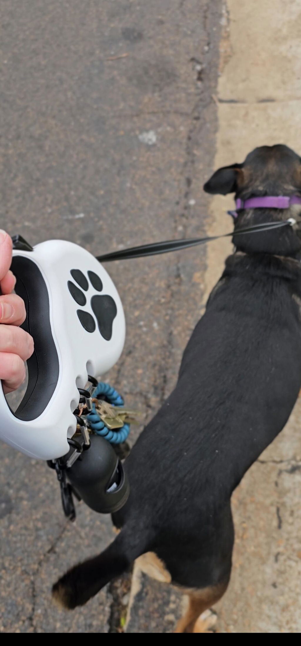 Customer photo of StitchLeash - Retractable Dog Leash