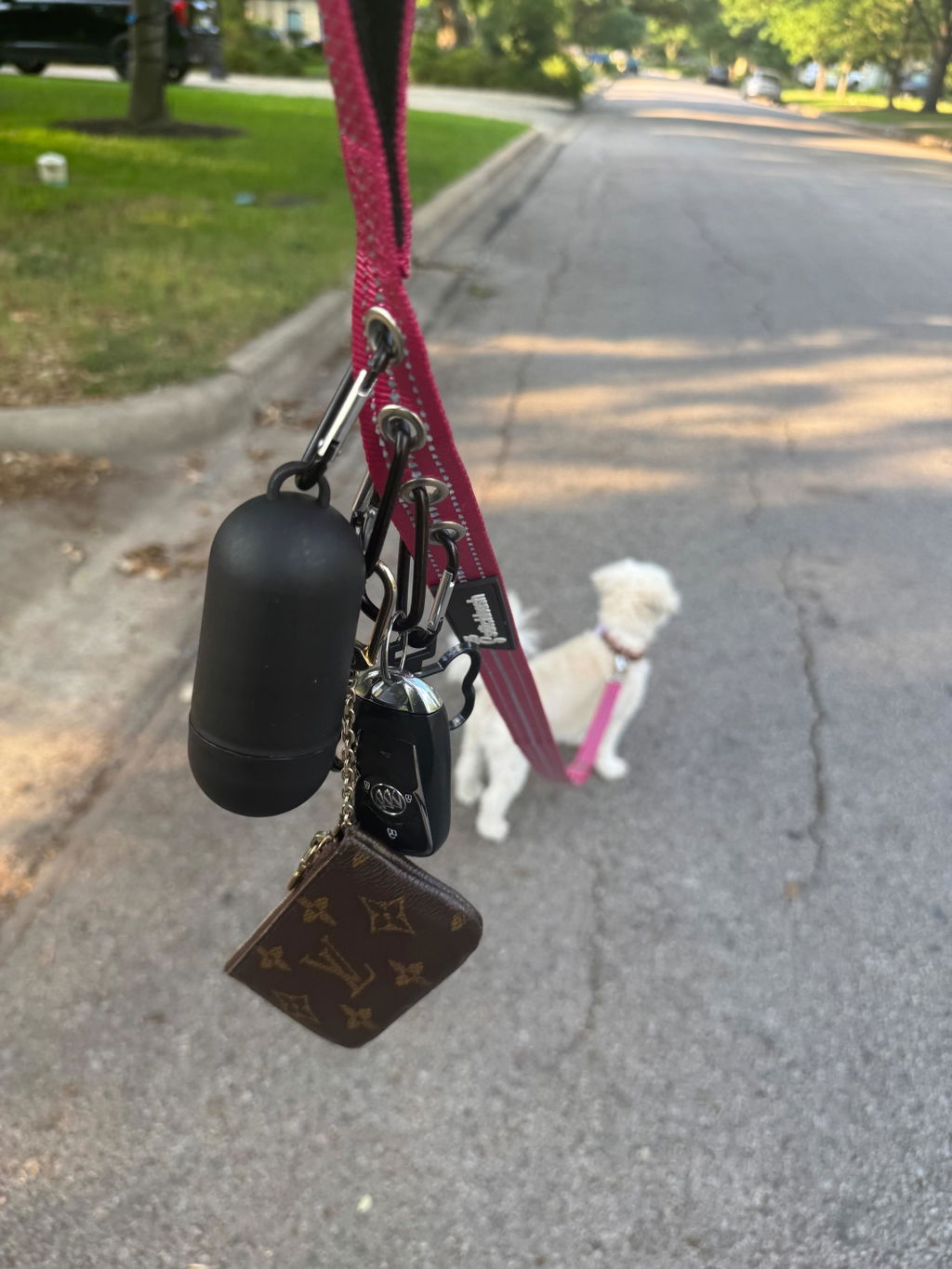 Customer photo of StitchLeash - Flat Nylon Leash
