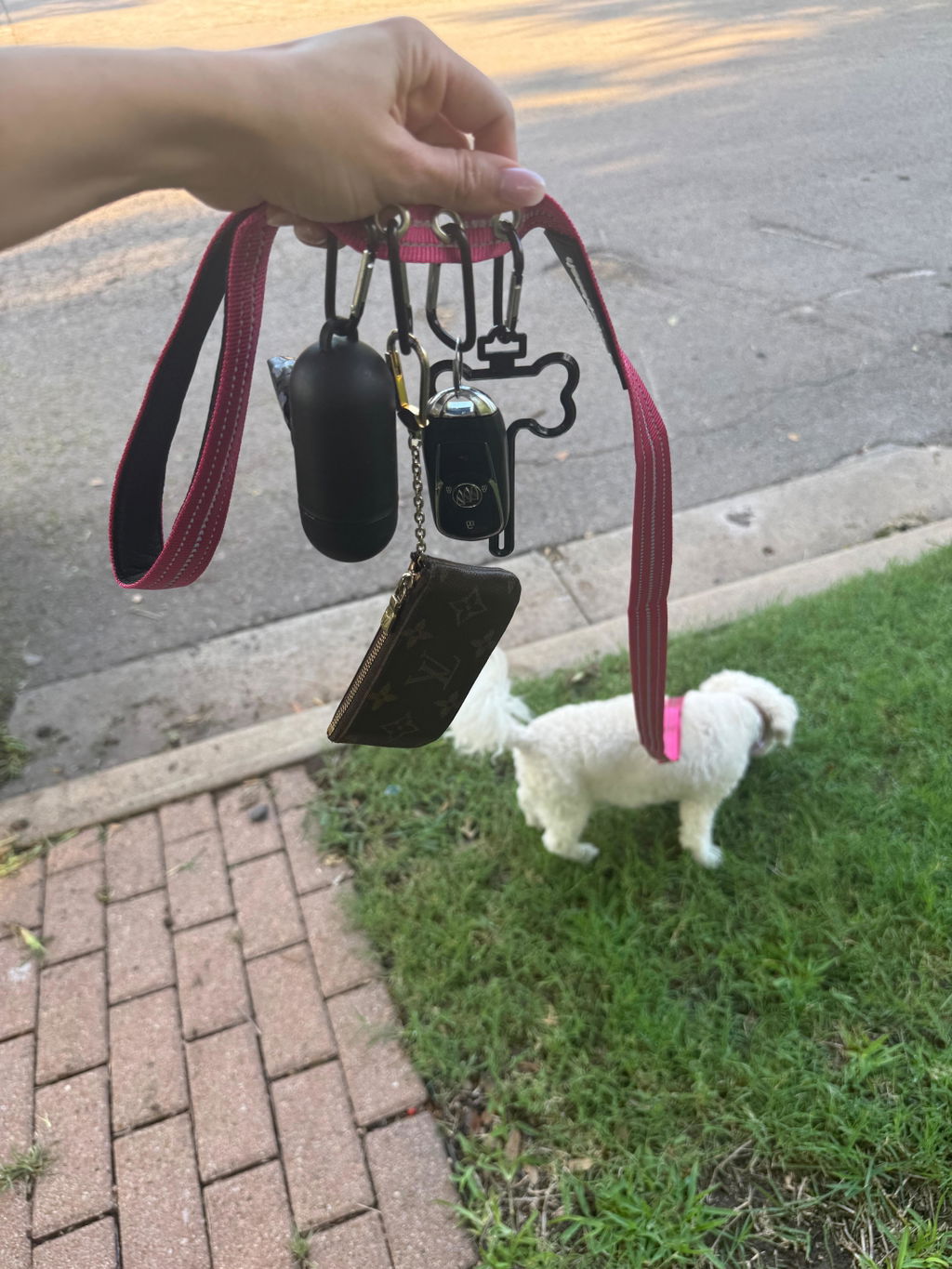 Customer photo of StitchLeash - Flat Nylon Leash