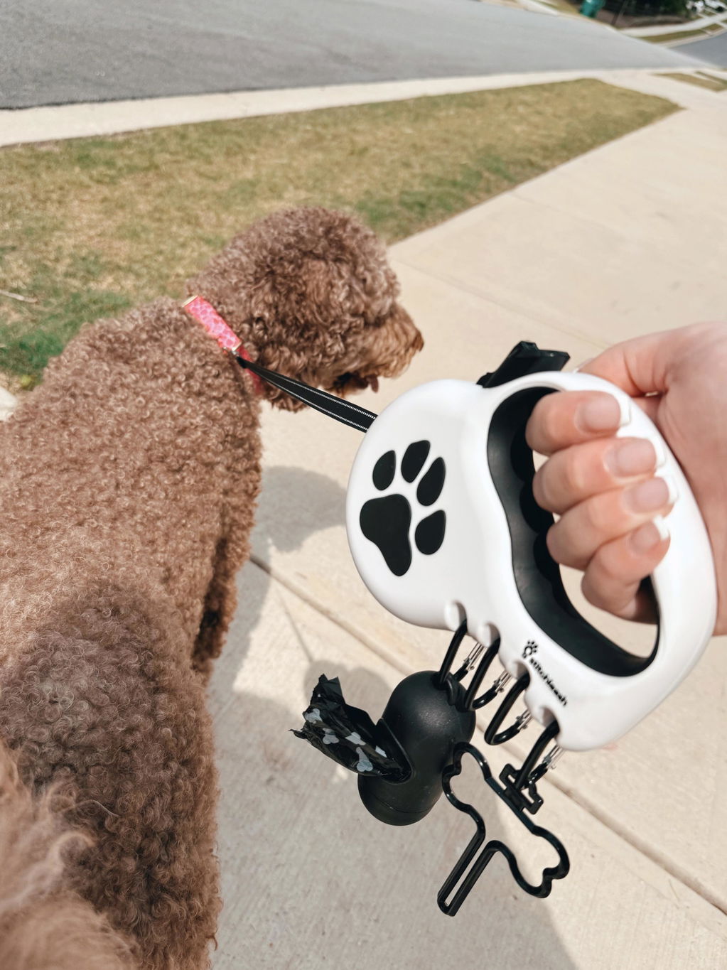 Customer photo of StitchLeash - Retractable Dog Leash
