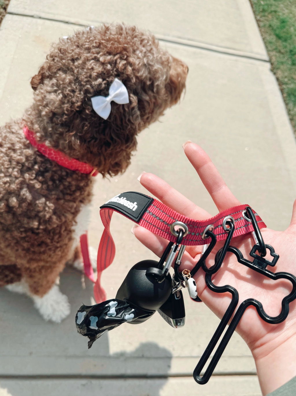 Customer photo of StitchLeash - Flat Nylon Leash