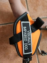 V. review photo