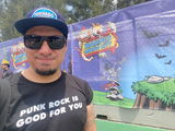 Punk rock is good for you