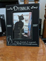 Cat review photo