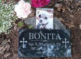Donna T.T. review photo