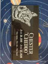 Carmela C. review photo
