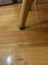 RB review photo