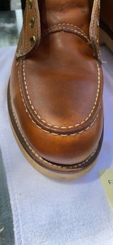 Lovan review photo