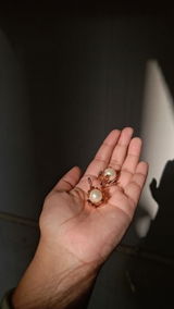 Amrita review photo