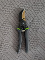 Franziska B. review photo