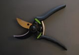 sabinett review photo