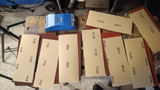 Rainer review photo