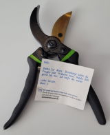 Holm review photo