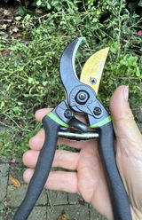 RPB review photo