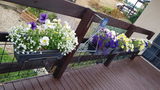 Trevor M. Oatlands review photo