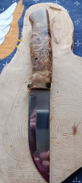 Petru L. review photo