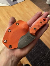 Paul P. review photo