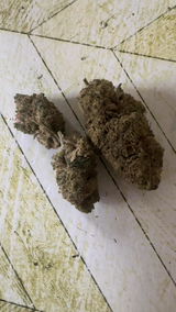 Anonyme review photo