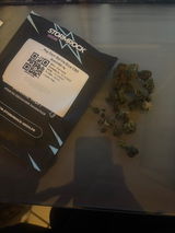 damien review photo