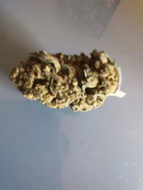 Bastien review photo