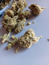 Morgan review photo