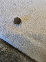 Cedric review photo
