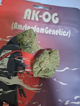 Rémy O. review photo