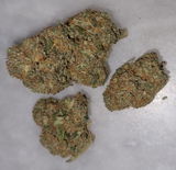 Topornicki K. review photo
