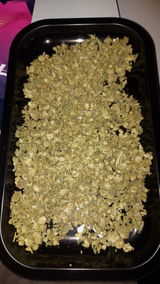 K.G. review photo